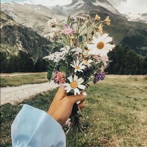 Meet your Posher, Jilly